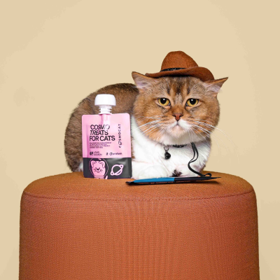 Cosmocat_Liquid-Salmon-treat-for-cats-copy.webp